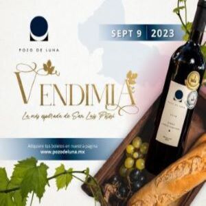 Vendimia Pozo De Luna 2023
